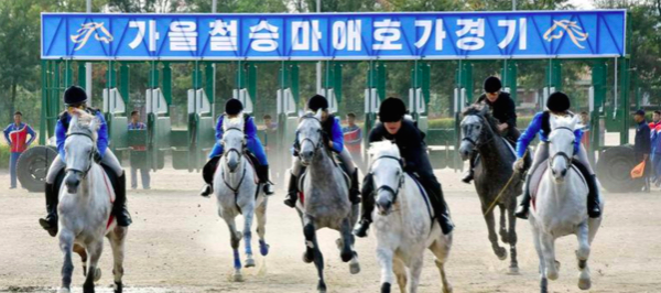 North Korea Legalizes Gambling on Horses to Help Mitigate Sanctions Pain