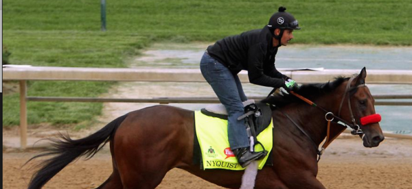 Best Payout Odds on Nyquist – Derby Day Afternoon