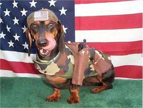 Obama Dog