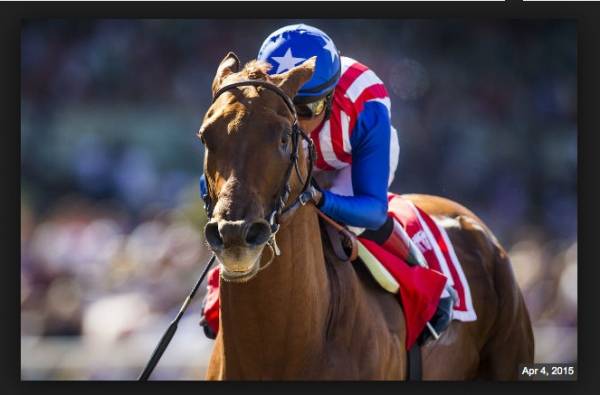 Dortmund Odds of Winning the Kentucky Derby Now Approaching Favorite Status Dortmund Odds of Winning the Kentucky Derby Now Approaching Favorite Status