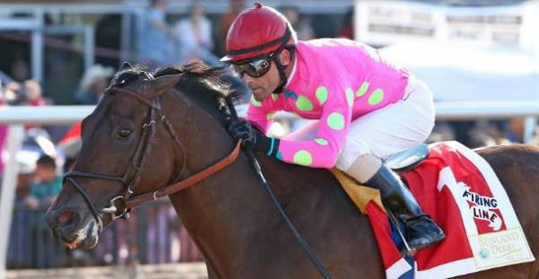 Odds to Win the 2015 Preakness: Firing Line