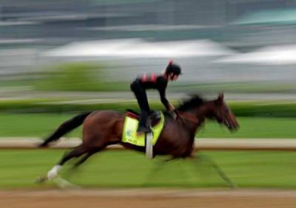 Orb Odds to Win 2013 Belmont Stakes Still at 3 to 1 Despite Weather