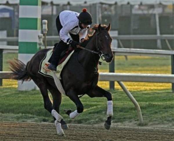 Orb Odds to Win 2013 Preakness Orb Odds to Win 2013 Preakness
