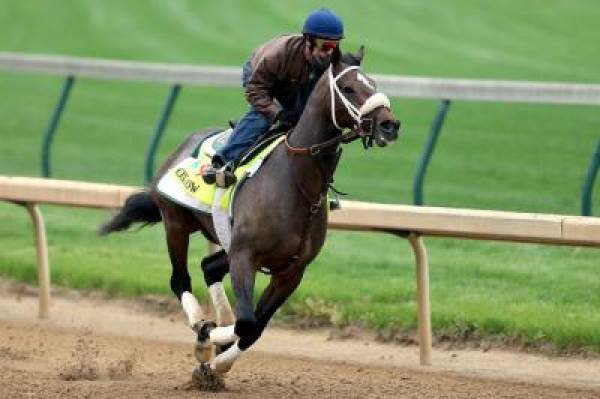 Oxbow Kentucky Derby Odds at 40-1