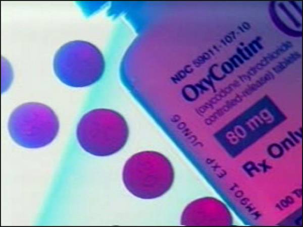 Bellagio Bandit Oxycontin