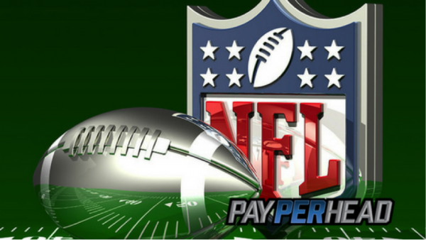 5 Price Per Head Tips to Make More Money With NFL Playoff Seasons