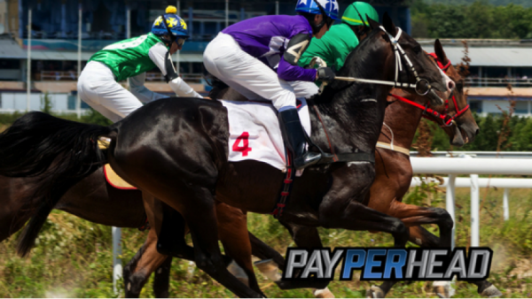 5 Pay Per Head Software Features To Increase Your Profits During Triple Crown