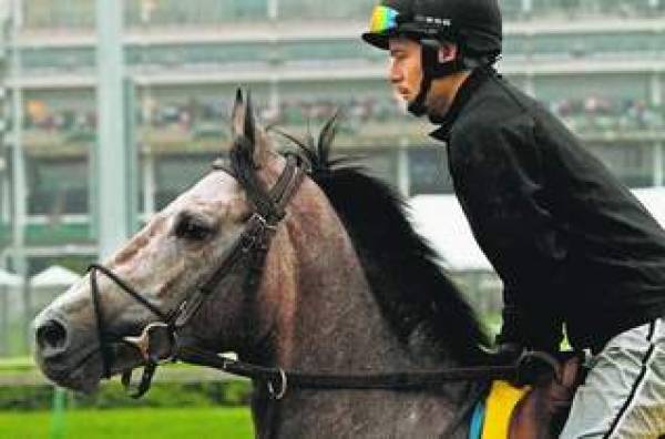 Paddy O’Prado Paddy O'Prado Odds
