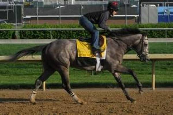 Preakness Stakes 2010 Contenders