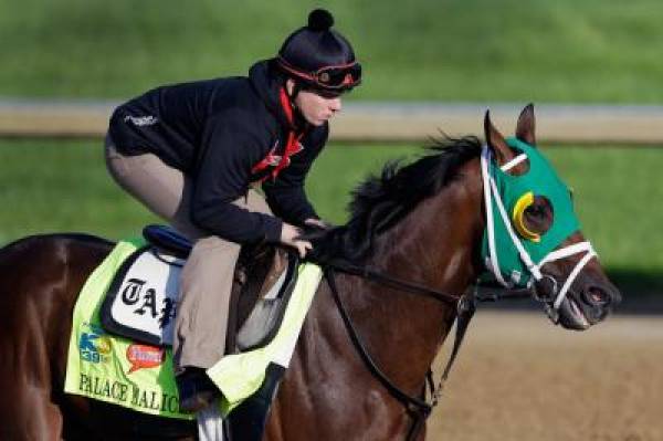 Palace Malice Odds to Win 2013 Kentucky Derby:  Live Long Shot