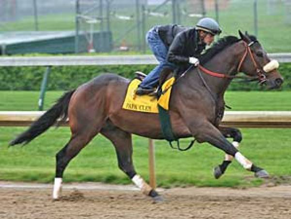 Preakness Stakes Power Rankings