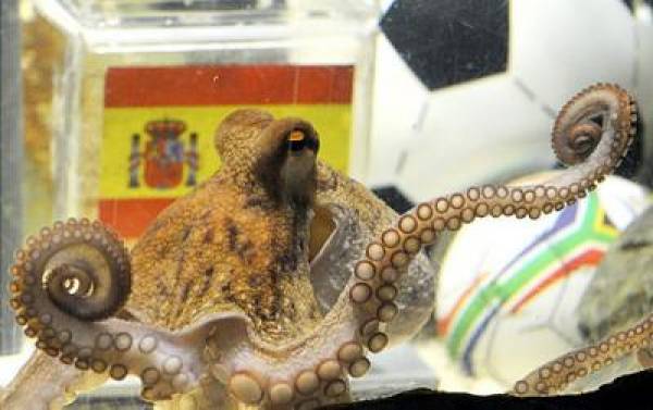 Paul The Octopus Is Dead