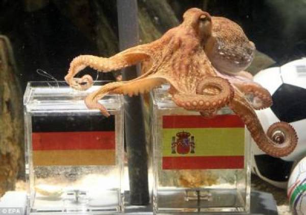 Paul The Octopus