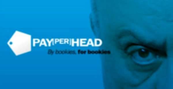 How Easy is it to Switch Your Pay Per Head Ahead of the Super Bowl How Easy is it to Switch Your Pay Per Head Ahead of the Super Bowl