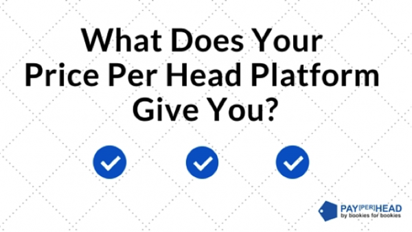 Why Your Price Per Head Platform Should Provide a Custom Website