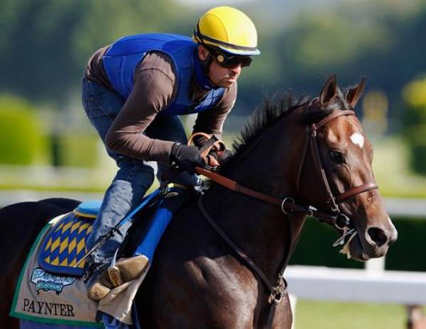 Paynter Odds to Win the 2013 Breeders Cup Classic