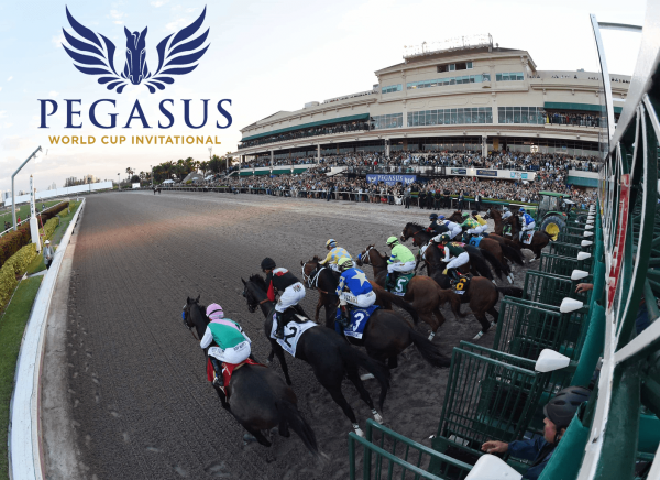 Best Pay Per Head for the Pegasus World Cup