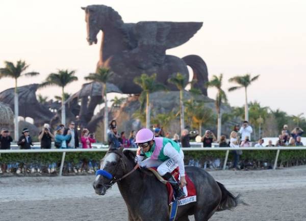 Where Can I Bet the Pegasus World Cup 2018 Online?  Best Odds