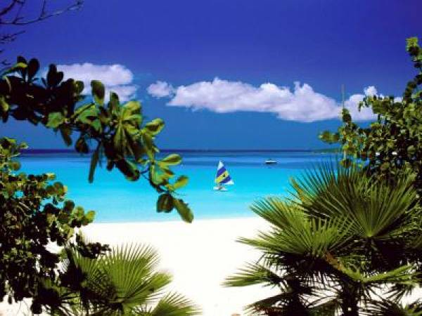 PokerStars Caribbean Adventure 2012 to get Live Cards Up Webcast