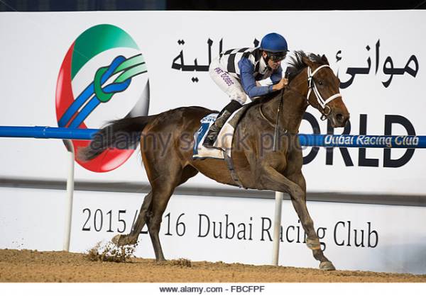 UAE Derby 2016 Betting Odds – Meydan 13:35: Polar River Favored  