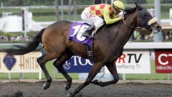 Louisiana Downs: Super Derby Odds - 2011