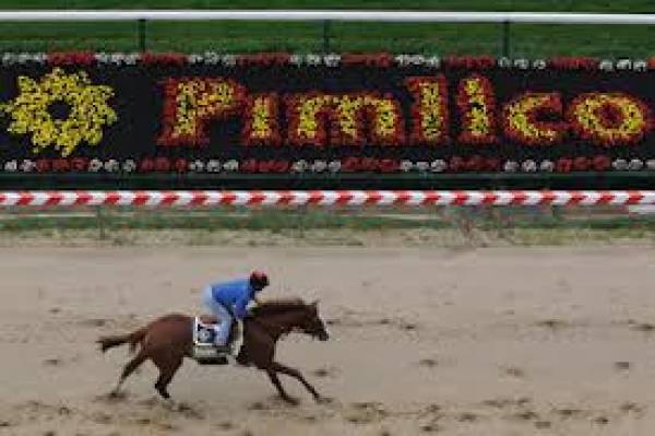 50 Percent Chance of Rain at 2013 Preakness 50 Percent Chance of Rain at 2013 Preakness