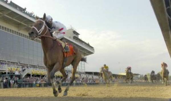 Preakness Stakes Payout Odds