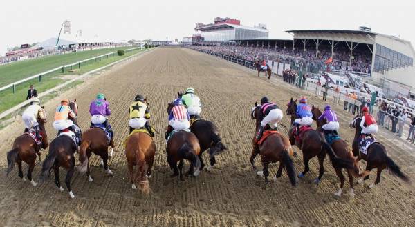 What Are the Current Odds of Cloud Computing Winning the Preakness Stakes