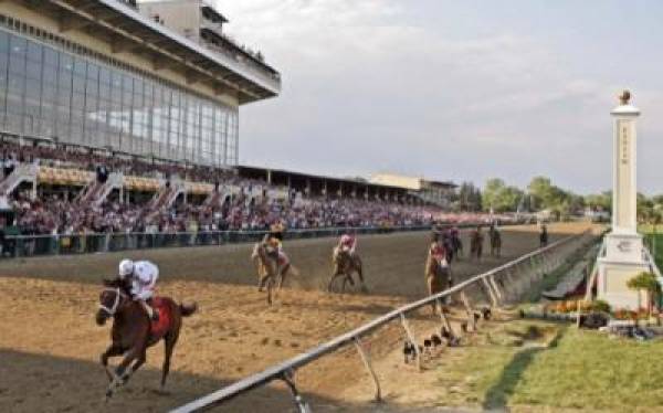 2009 Preakness Stakes Betting Odds