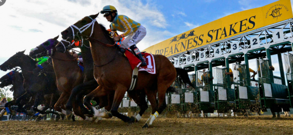 2021 Preakness Stakes Morning Odds