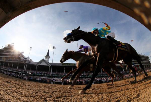 Odds to Win the 2015 Preakness: Mr Z
