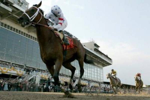 Norman Asbjornson, King Congie and Mr. Commons Odds to Win Preakness Stakes