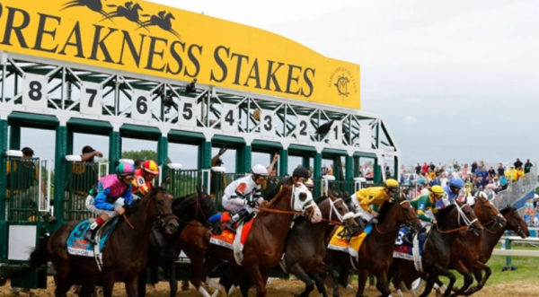 Which Horses Will Be Running in the 2022 Preakness Stakes?