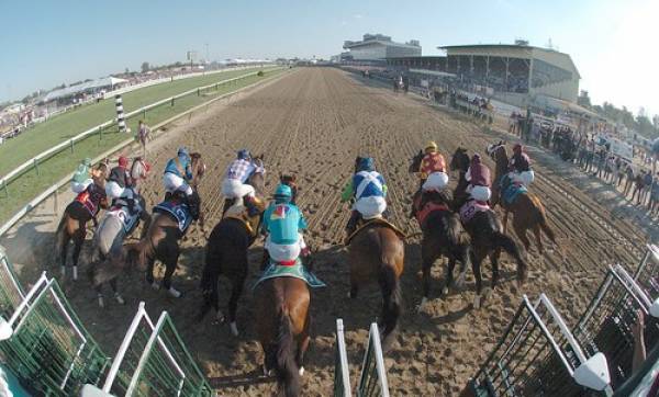 Preakness Stakes Current Odds – 4 pm EDT: Social Inclusion Still 8-1 Preakness Stakes Current Odds – 4 pm EDT: Social Inclusion Still 8-1