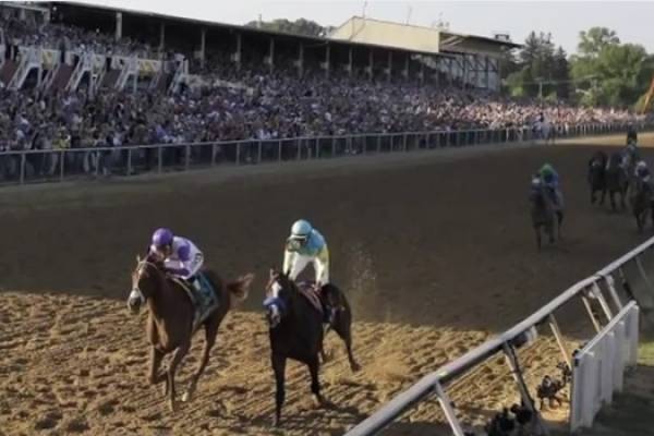 Preakness Stakes 2014 Betting Preview 