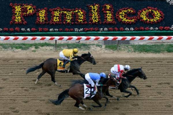 American Pharoah Latest Preakness Stakes Odds 