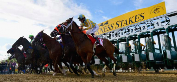 2016 Preakness Stakes Morning Odds