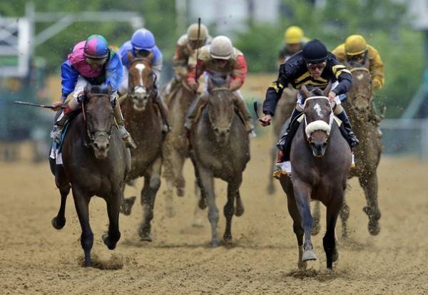 Preakness Stakes 2014 Margin of Victory Betting Odds