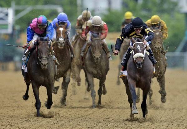 Preakness Stakes 2014 Margin of Victory Betting Odds Preakness Stakes 2014 Margin of Victory Betting Odds
