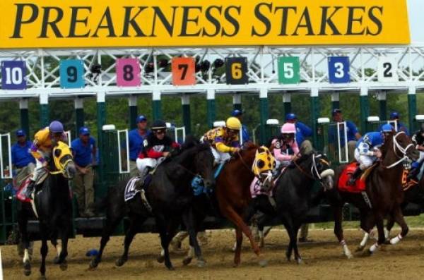 Preakness Stakes 2014 Matchup Odds – Prop Bets:  Winning Saddlecloth Number