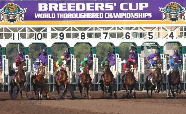 Price Per Head for the Breeders Cup