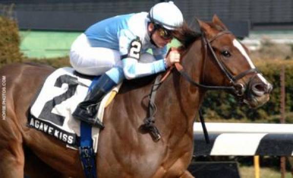 Prioress Stakes 2012 Odds to Win:  Saratoga Horse Betting