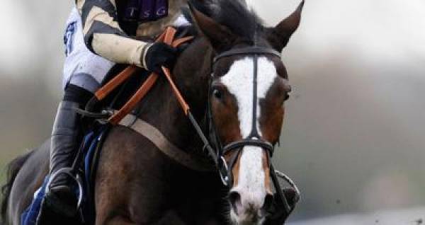 Ladbroke Hurdle Betting Odds 2011:  Prospect Wells 