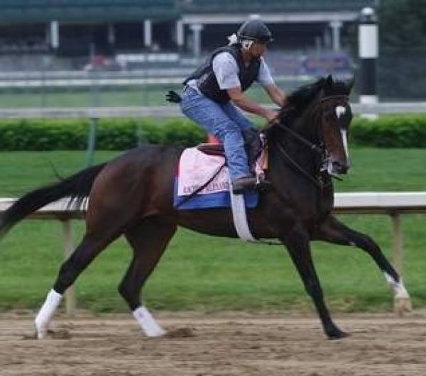 2009 Preakness Stakes Betting Odds