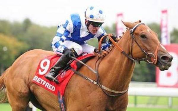 Duke of York Stakes 2011 – Odds to Win