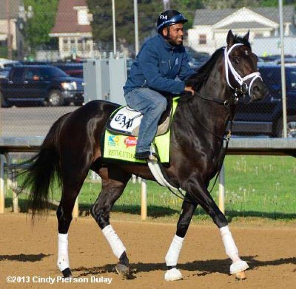 Revolutionary Odds to Win the Kentucky Derby at 8-1