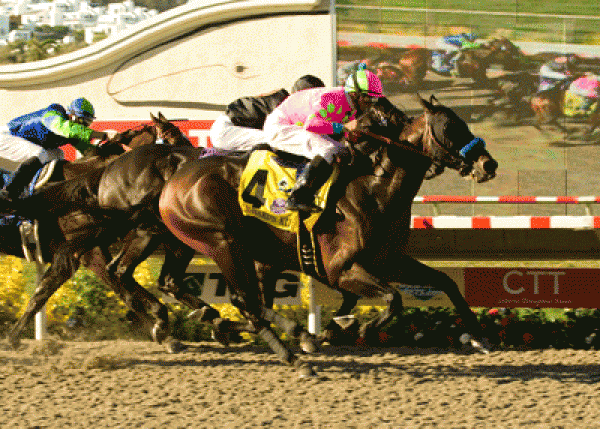 Richard’s Kid:  2009 Breeders Cup Odds