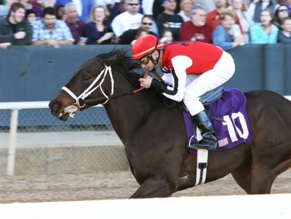 Ride On Curlin Odds to Win the 2014 Preakness Stakes