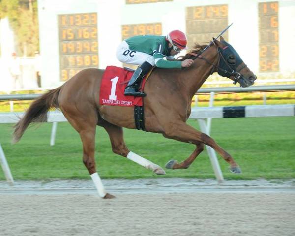 Ring Weekend Preakness Odds:  Lack of Speed Could Hamper This Horse