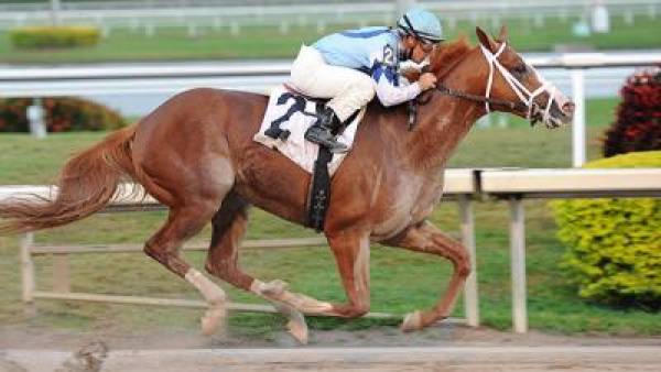 Risen Star Stakes 2012 Odds – Fair Grounds